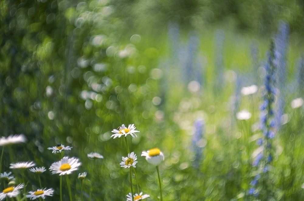 Photograph by Никита Татауров