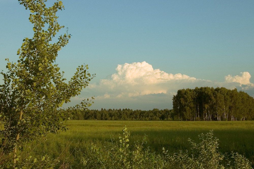 Photo #1492724
