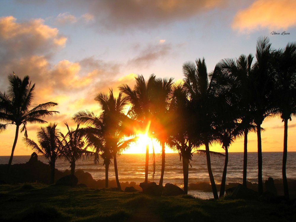 Atardecer de fuego..