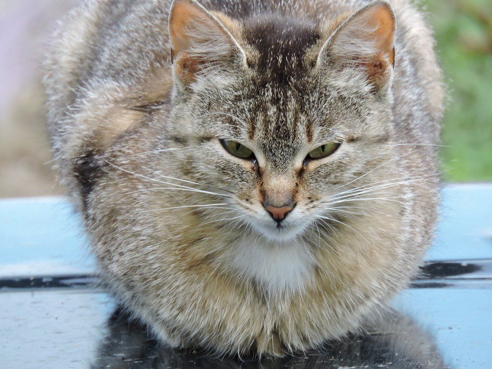 Усталый взгляд