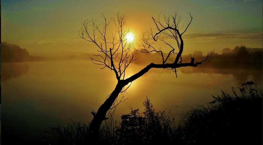 Свет и  тень