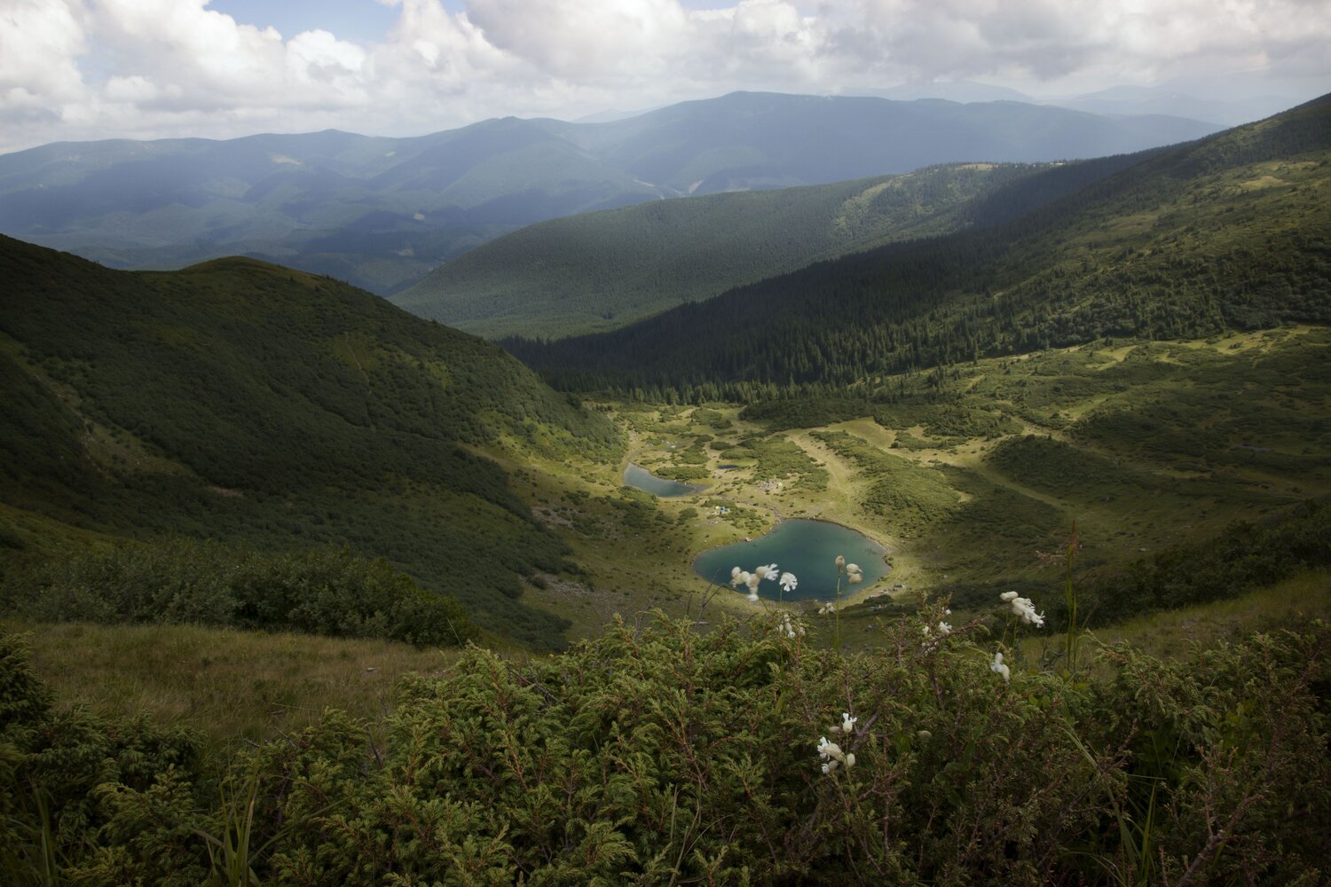 горное зеркало