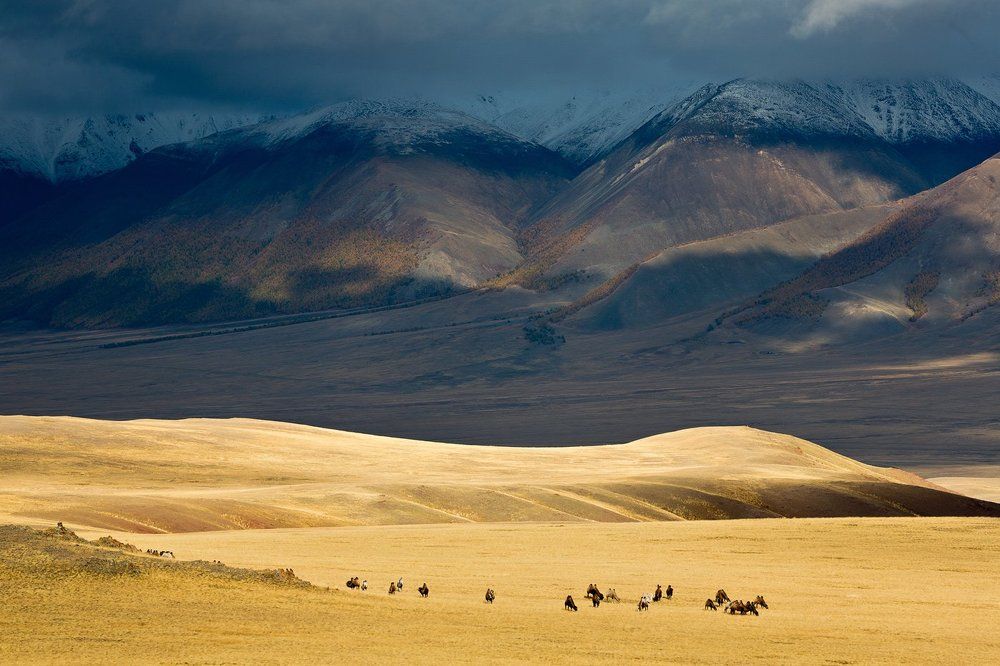 Вечер в горах Алтая.