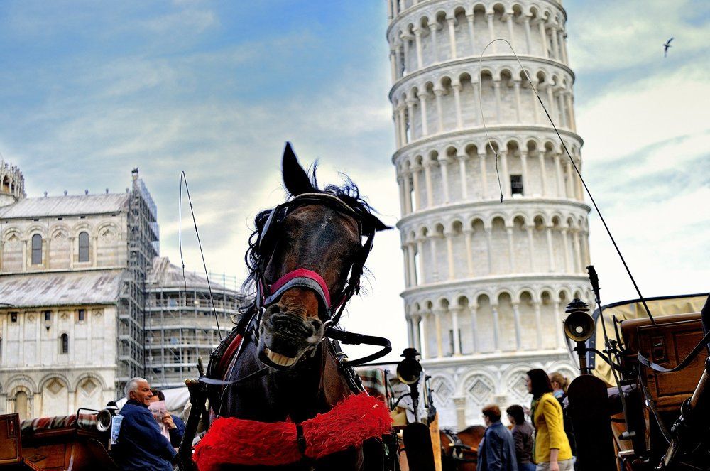 - Добро пожаловать в Пизу!