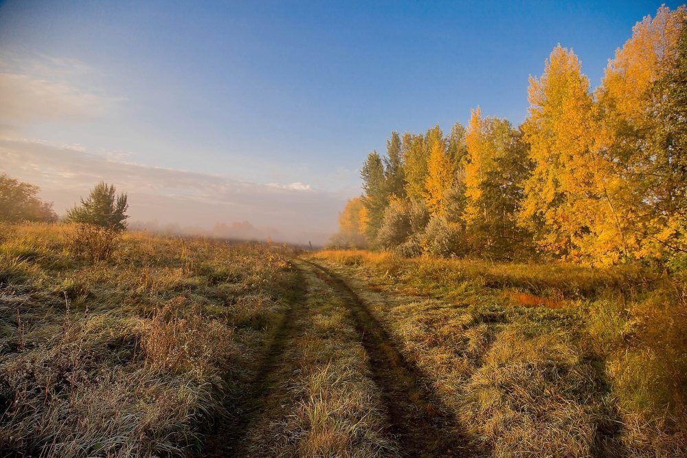 ЗОЛОТАЯ  ОСЕНЬ.УТРО.