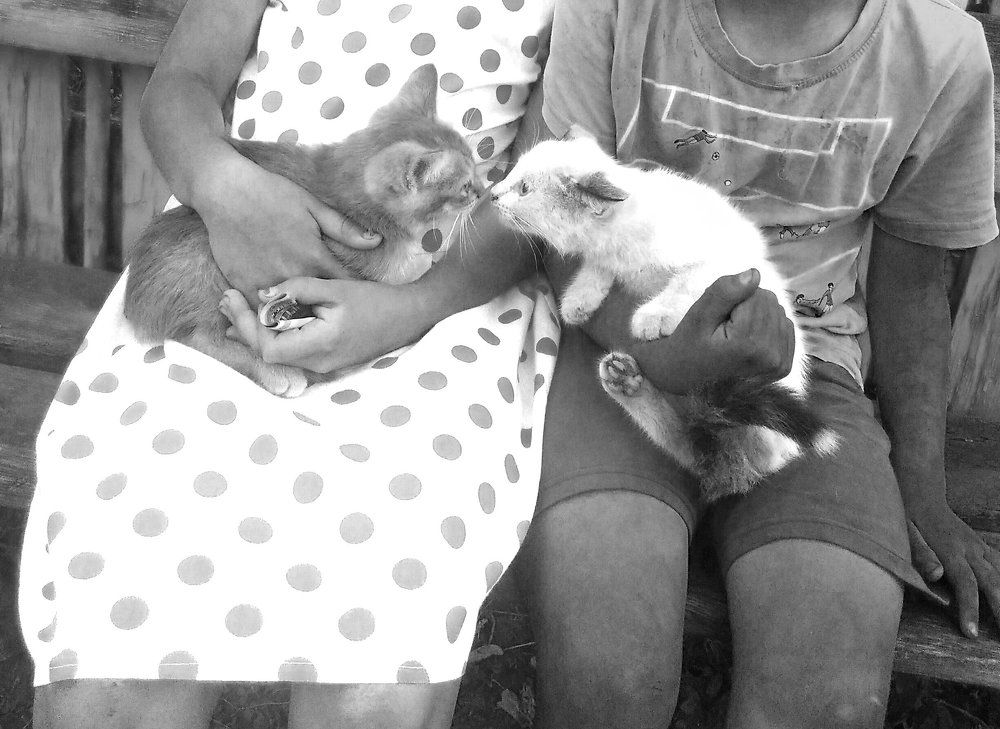 Photo #1493873