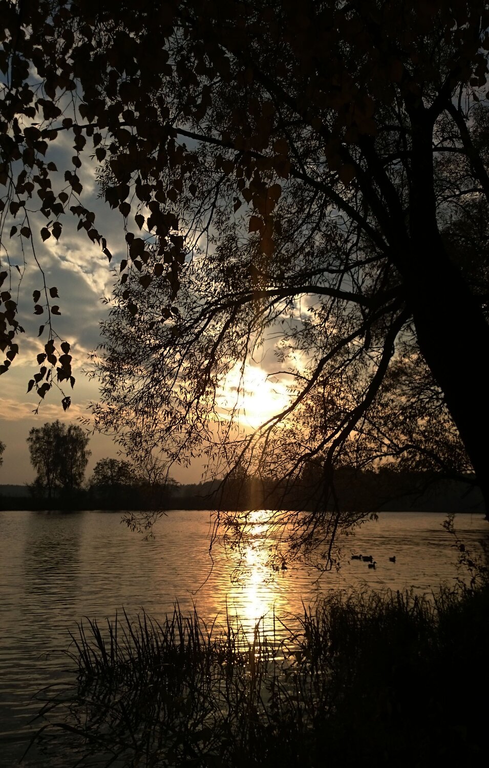 Photo #1494060