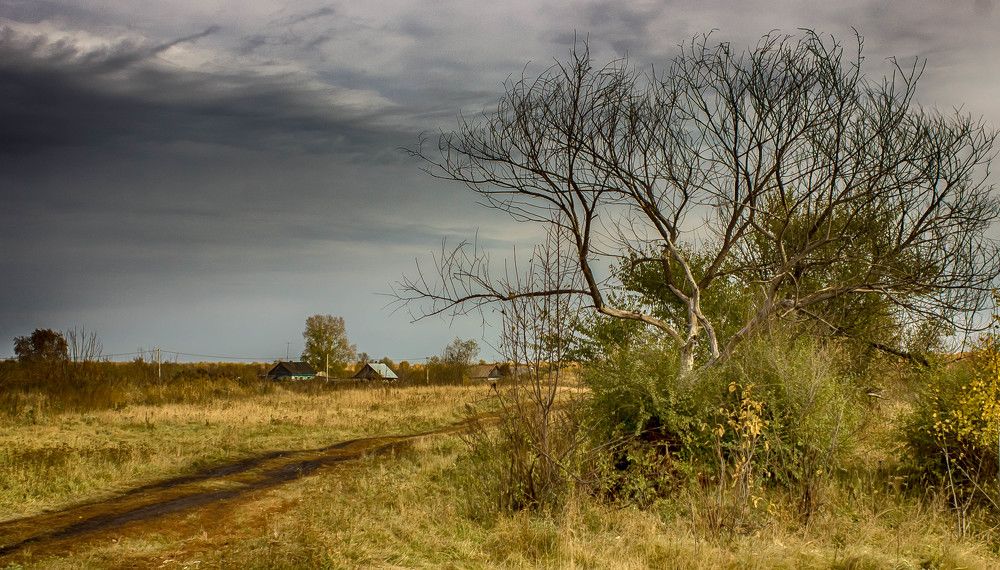 Осенний пейзаж
