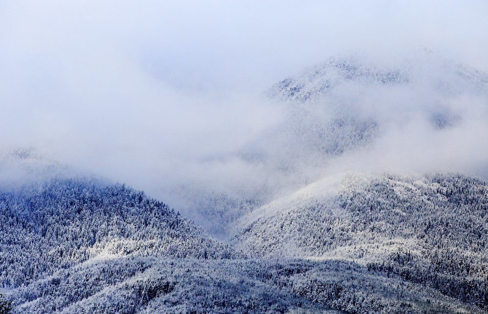 Тональная гармония