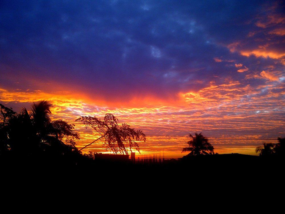 Morning Starts