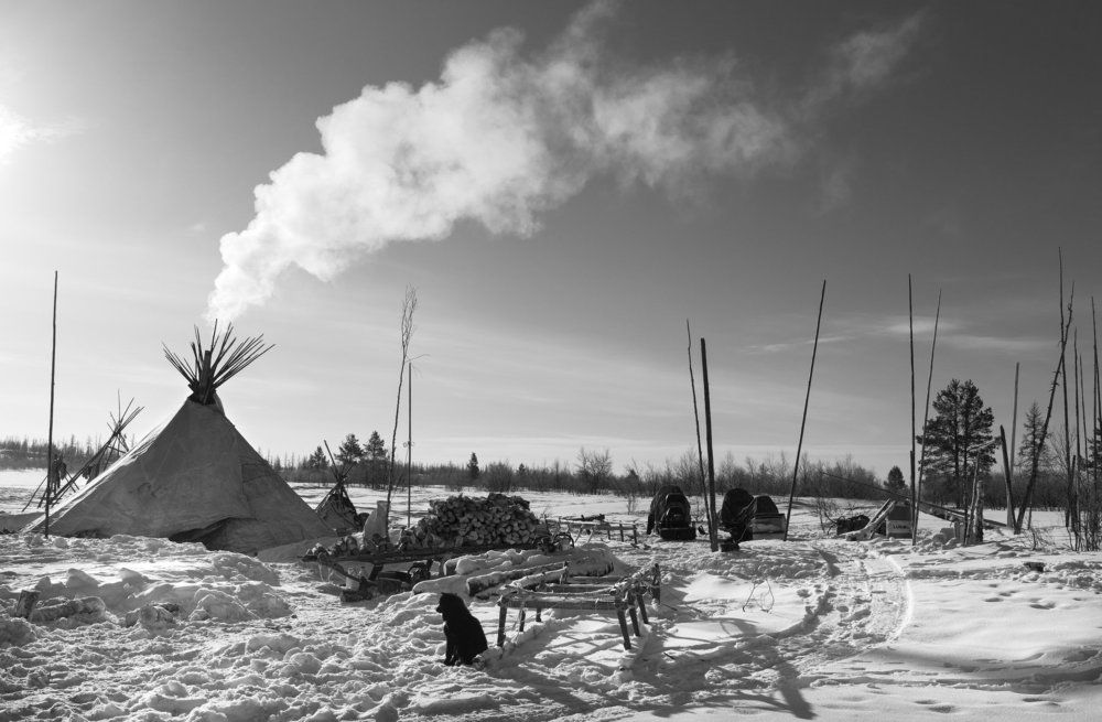 Заполярье. Зимнее утро.