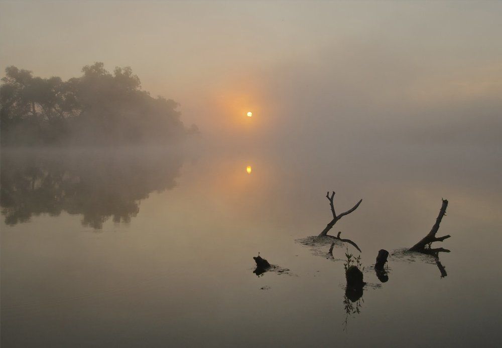 Рассветный этюд