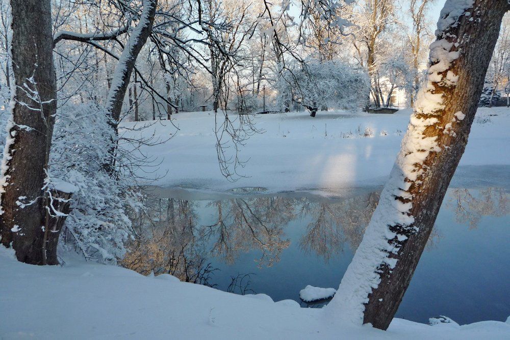 зимний денек