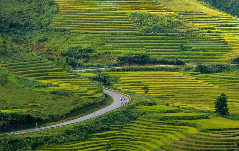 Рисовые террасы в Вьетнам