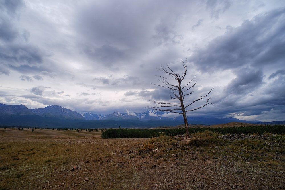 В ожидании дождя