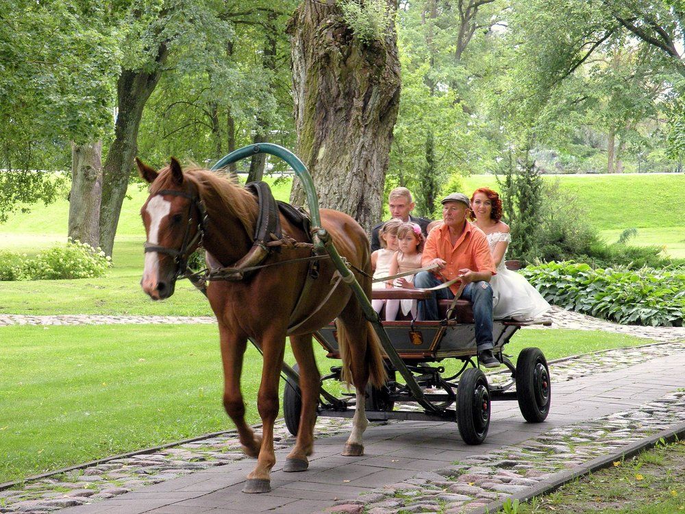 Такое счастье