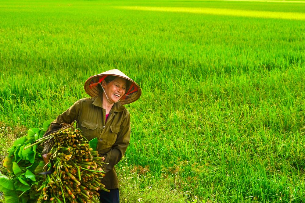 Portrait of a Vietnamese Woman
