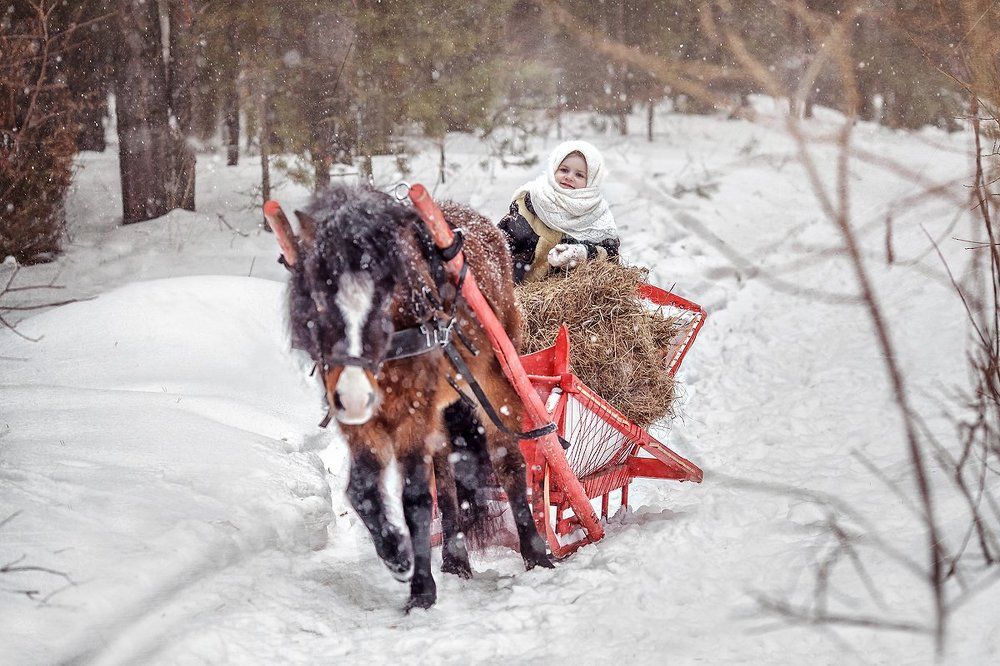 Настя и лошадка
