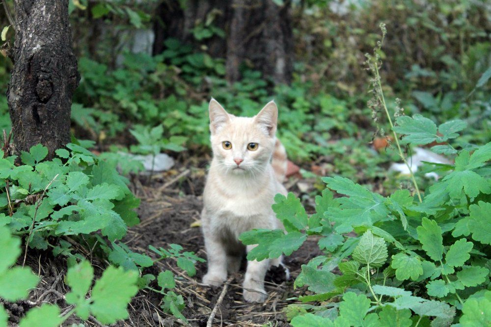 Photograph by Юлиана