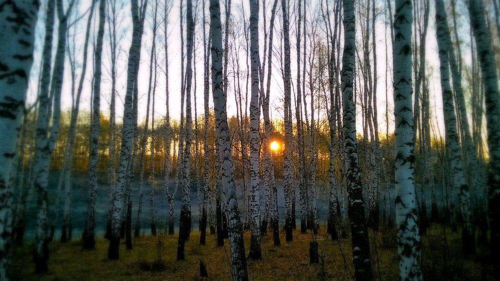 Холодное утро в октябре