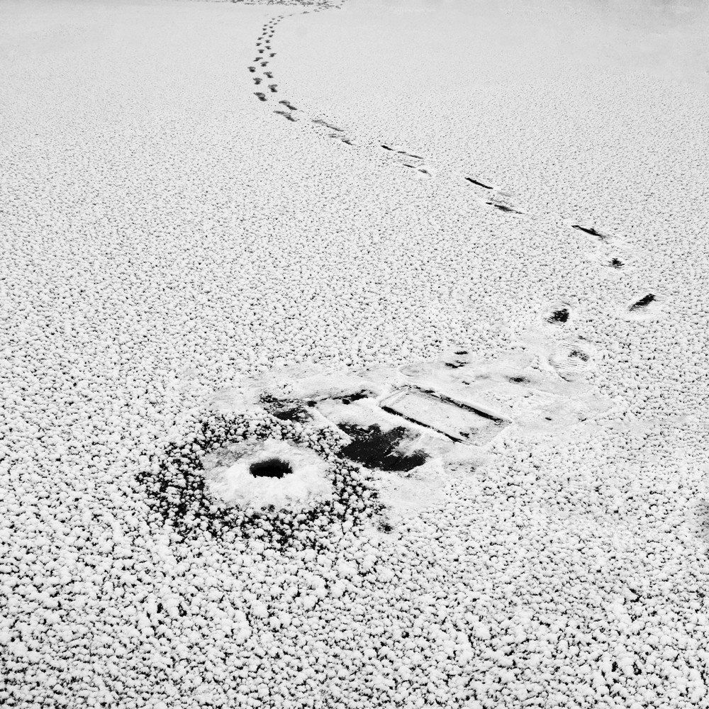 Графика Зимы