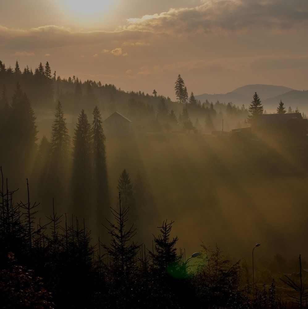 Рассвет в Карпатах