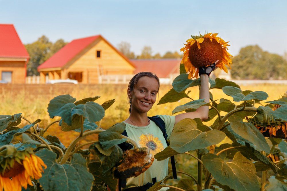 В подсолнухах