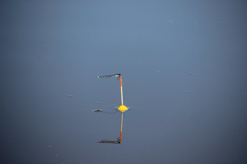 Одно и тоже