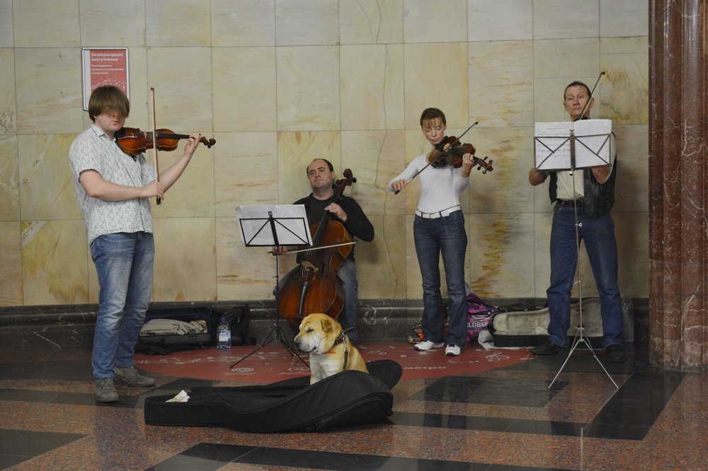 Четверо в метро, не считая собаки ("Квинтет")