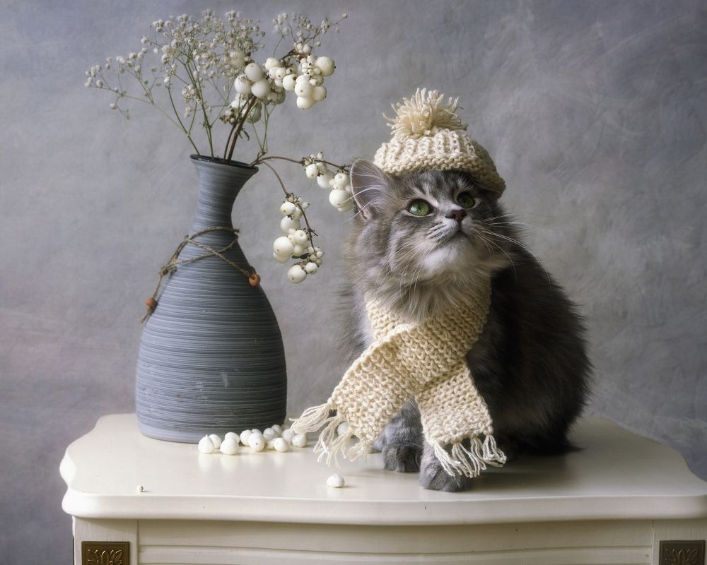 Скоро снег пойдет?