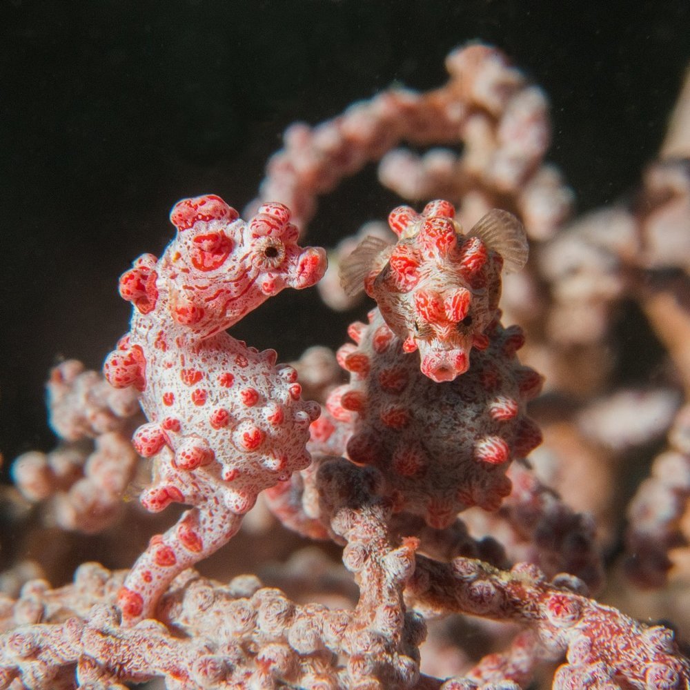 Конфиденциальный разговор