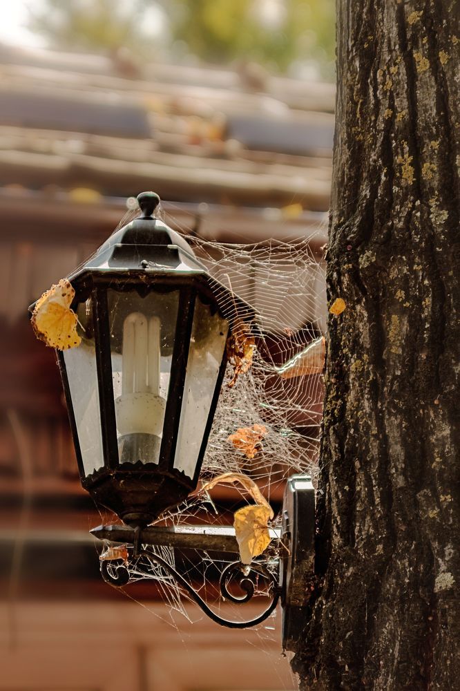 Городская паутинка