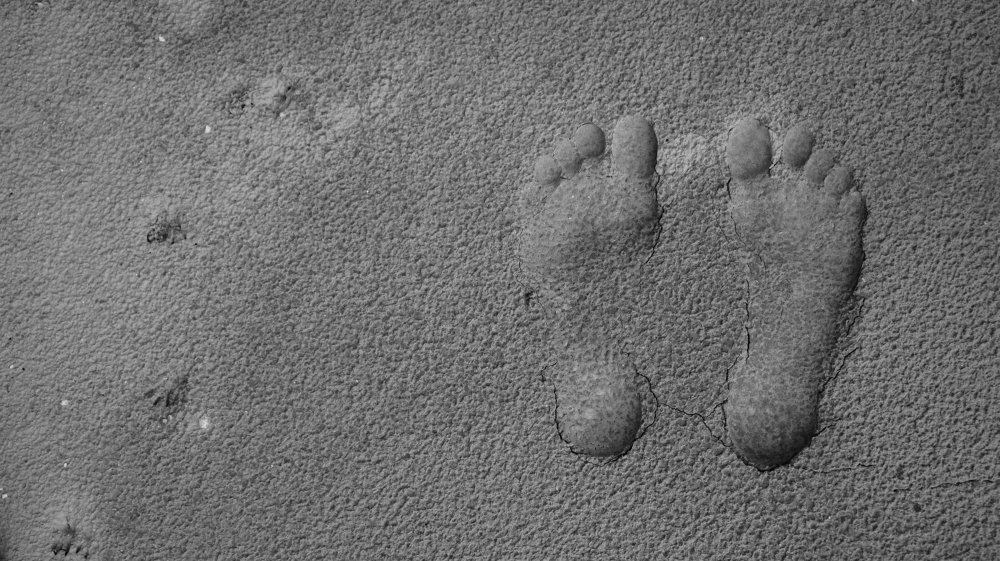 Bare foot