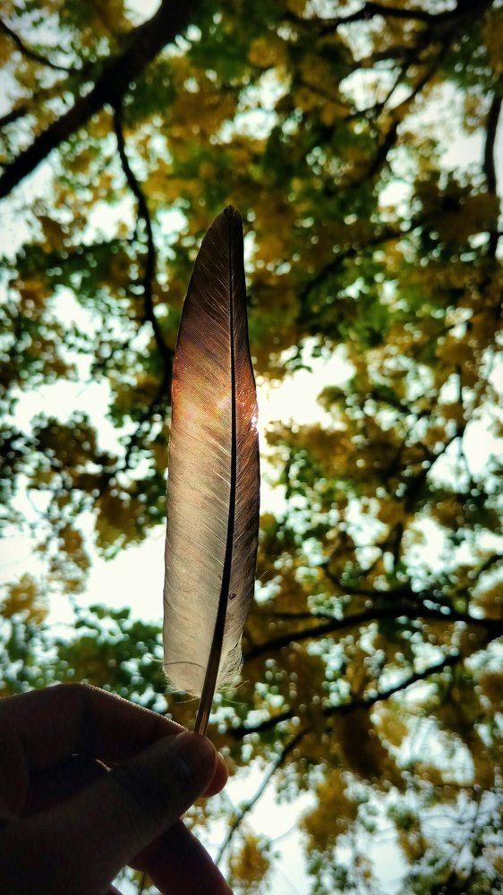 Colours behind him glowed brighter but his shine never diminished