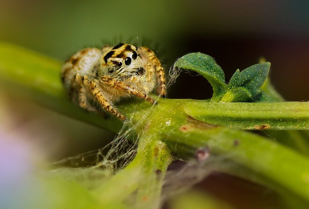 Photograph by Тараненко Анжелика