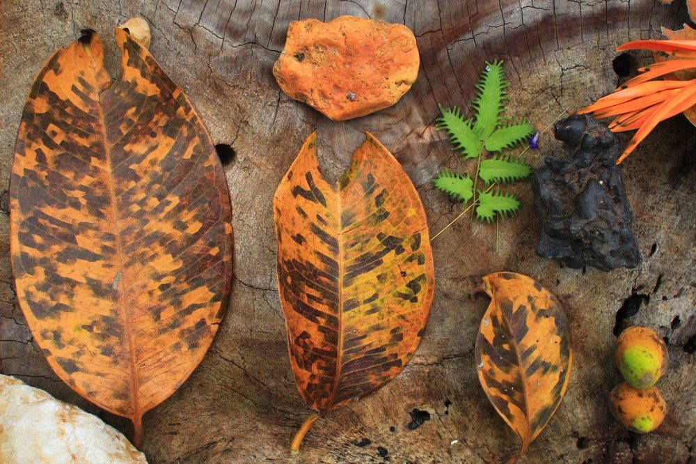 Образовательная - из серии "познавай Мир"