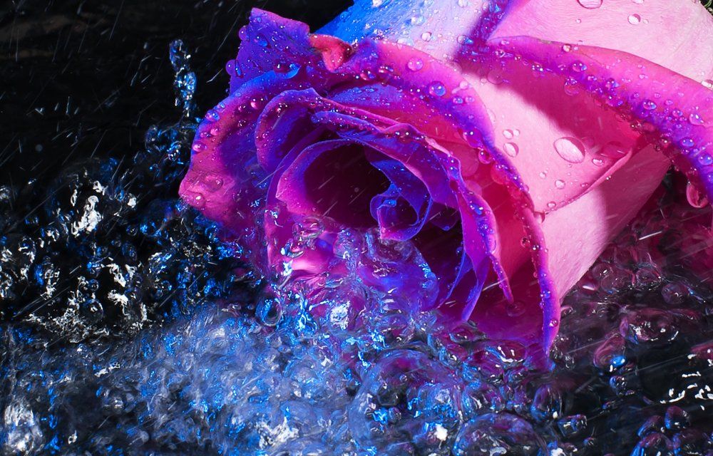 Бриллианты капель