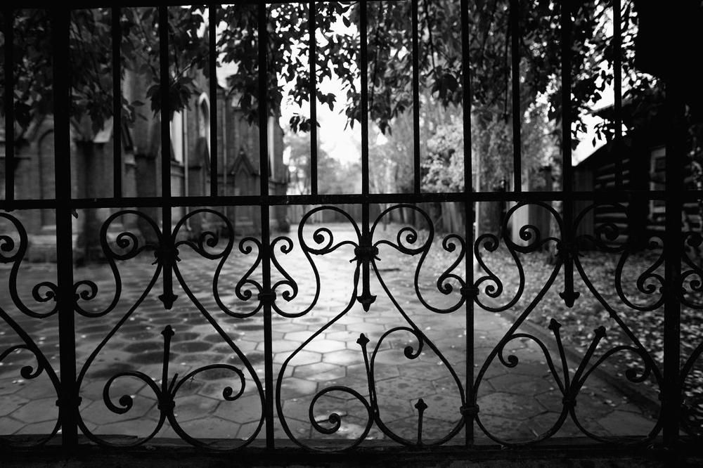 У органного зала