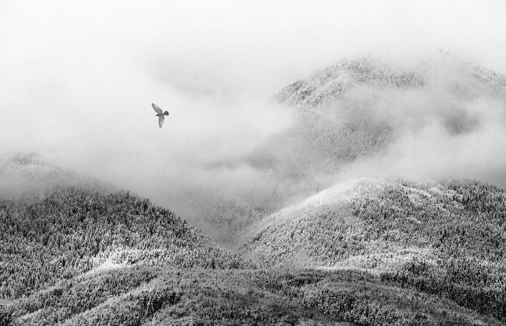 С высоты птичьего полета...