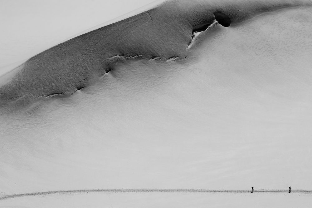 Two And A Whale / Двое и кит