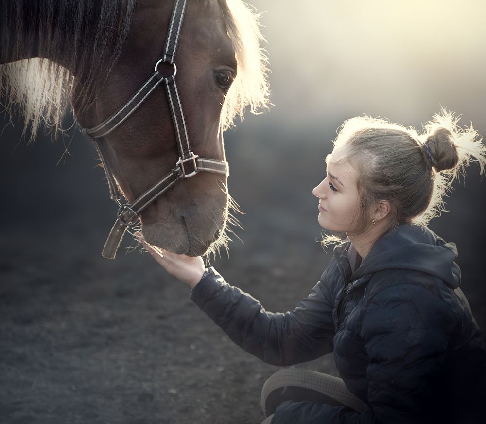 Мы в ответе за тех, кого приручили