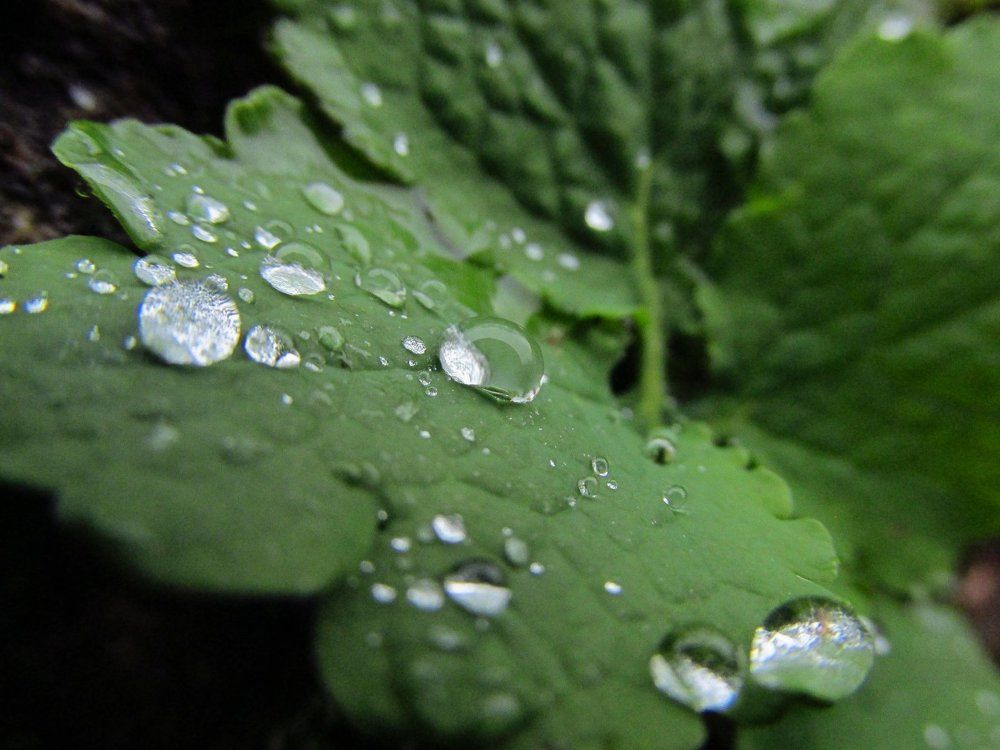 Photograph by Проскура Артём