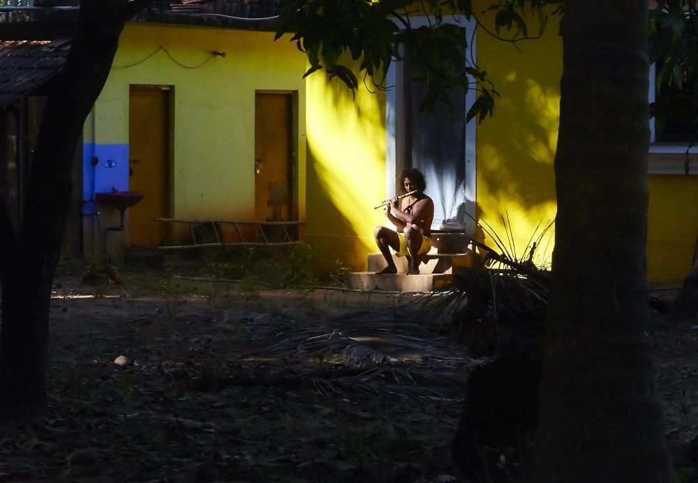 Цвет музыки