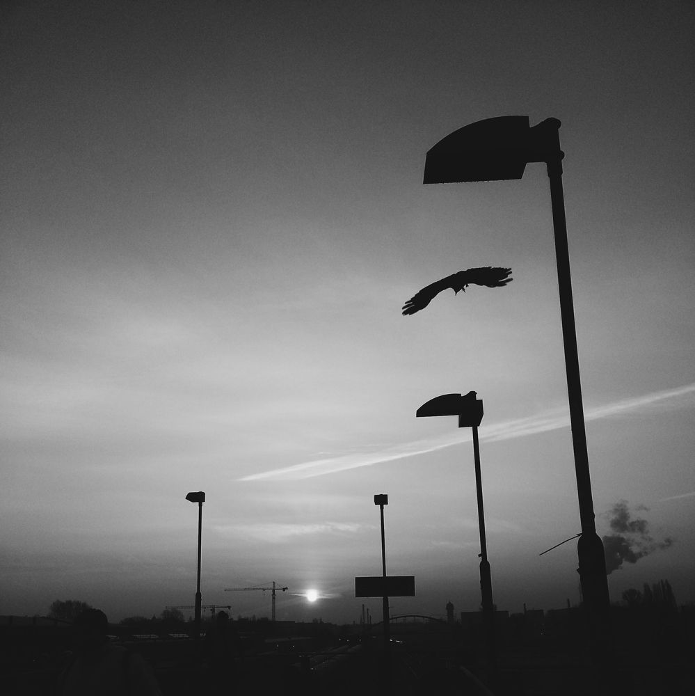 Устремляя наши очи на бледнеющий Восток