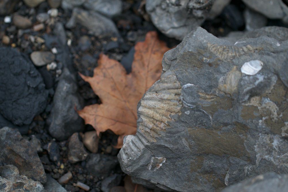 Вчера и сегодня