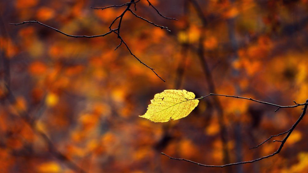 Я все еще здесь   ( I'm still here)