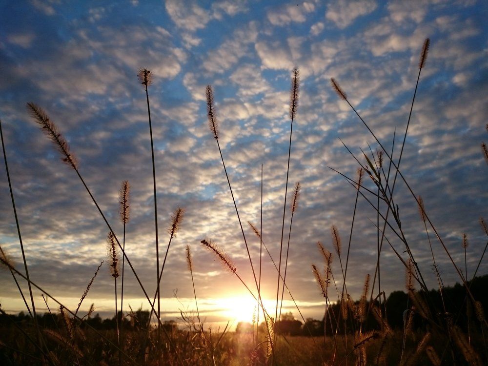 Уплывающие мгновенья