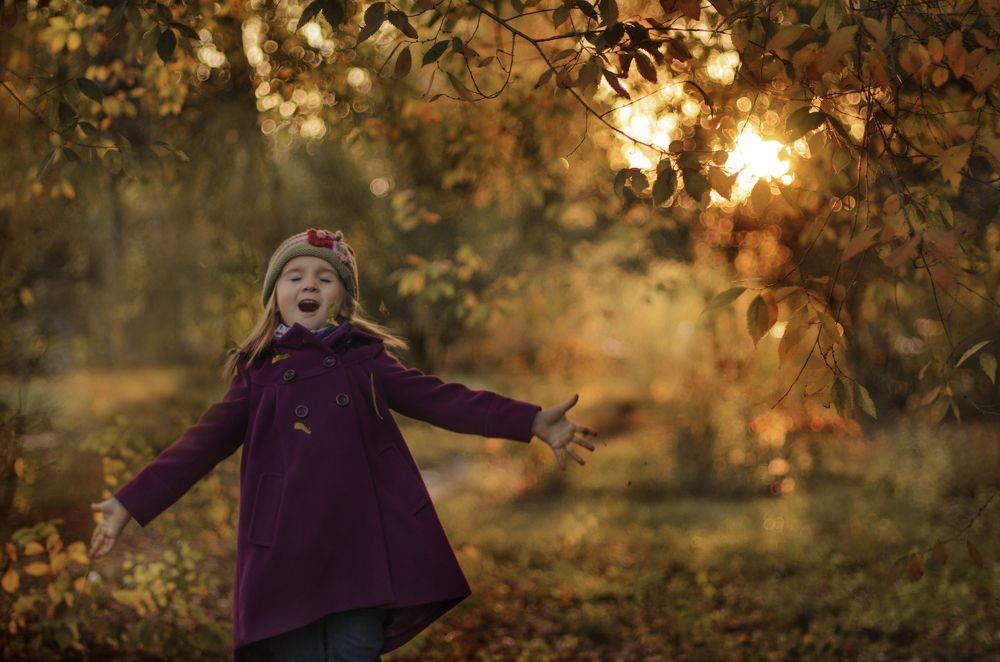 А вот и осень!