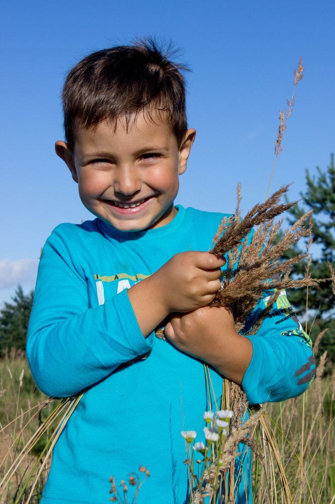 Радость бытия