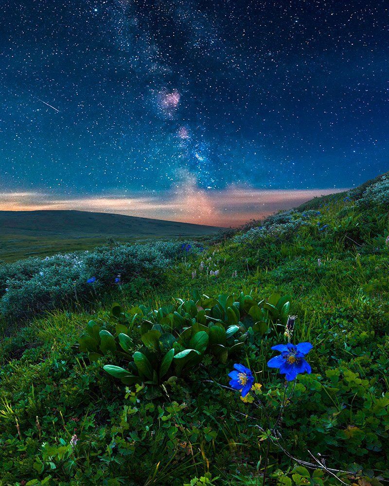 Под светом звёзд